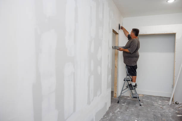 Best Mold Odor Removal Services  in Sandy Springs, SC